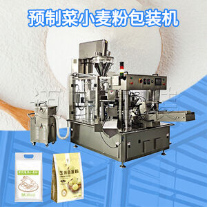 預製袋澱粉（fěn）包裝機（jī）視頻